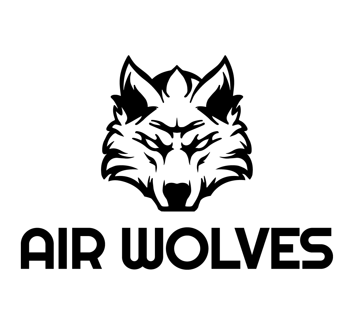 Air Wolves